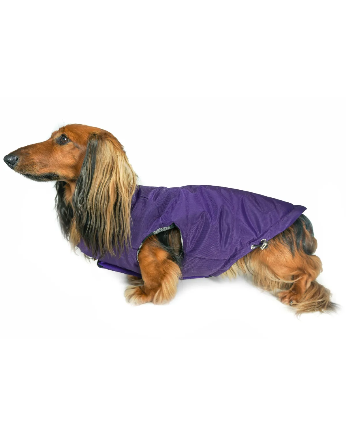 Reversible Puffer Dog Coat